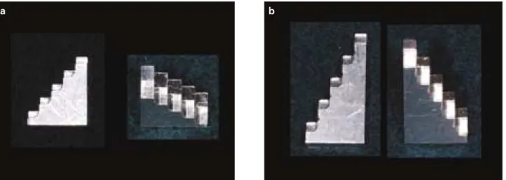 Figure 2. Radiographic image of post with aluminum step- step-wedge.