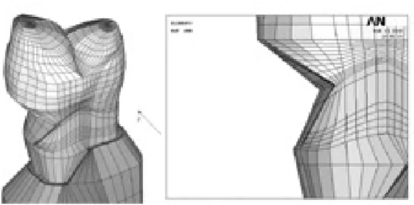 Table  1. Mechanical properties of the tooth and supporting structures used in the study