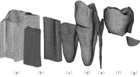 Figure 1. Disassembled  3D  FE  model:  (a)  cancellous  bone,  (b)  cortical  bone, (c) periodontal ligament, (d) dentin, (e) pulp, (f) enamel, (g) composite resin.