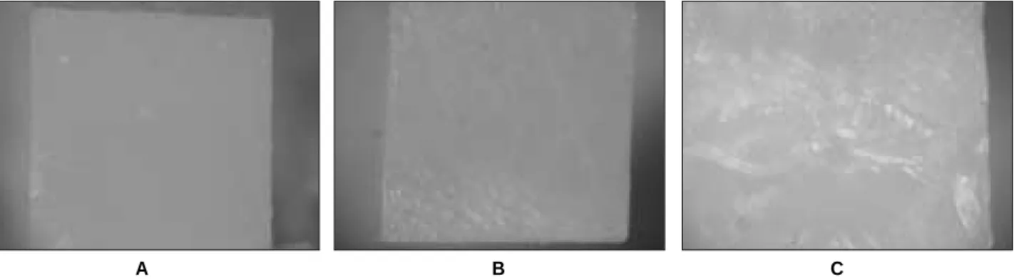 Figure 2. Failure modes of the fractured specimens. 