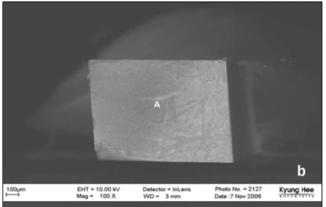 Figure 9.  Debonded interface of Variolink II (× 100).  A : adhesive, D : dentin