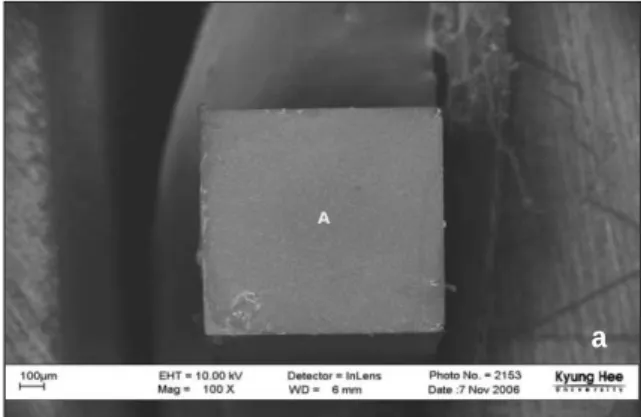 Figure 12.  Debonded interface of Rely X Unicem (× 100).