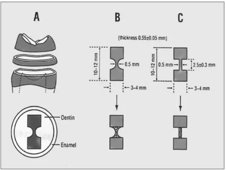 Figure 2. Two dimensional chemical structures of the control and test solvents. 