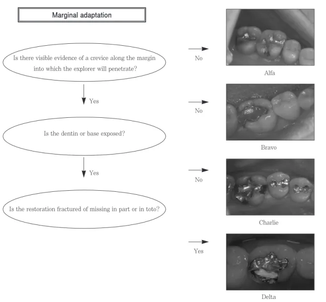 Table  1. Modified Ryge criteria system - Marginal adaptationMarginal adaptation