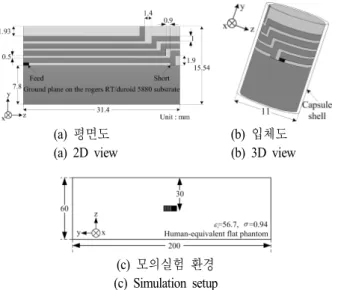 그림  2.  제안된 안테나의 구조 및 모의실험 환경