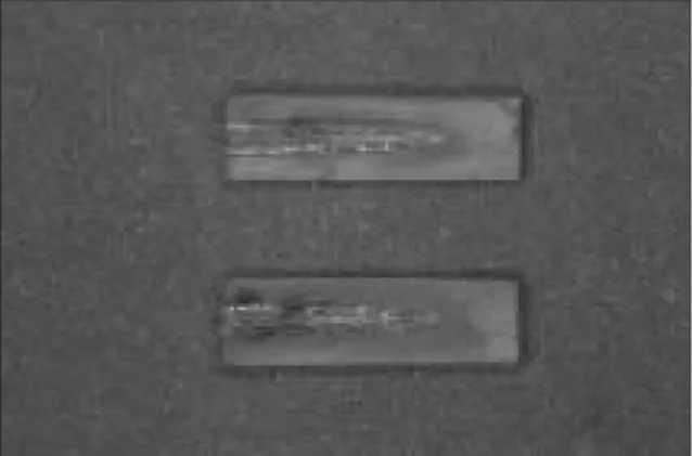 Figure  3. The  sealer placement instruments used