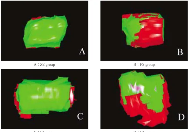 Figure 3.   Internal view of three-dimensionally reconstructed images of experimental groups  (Green : restoration, Red : dye) 