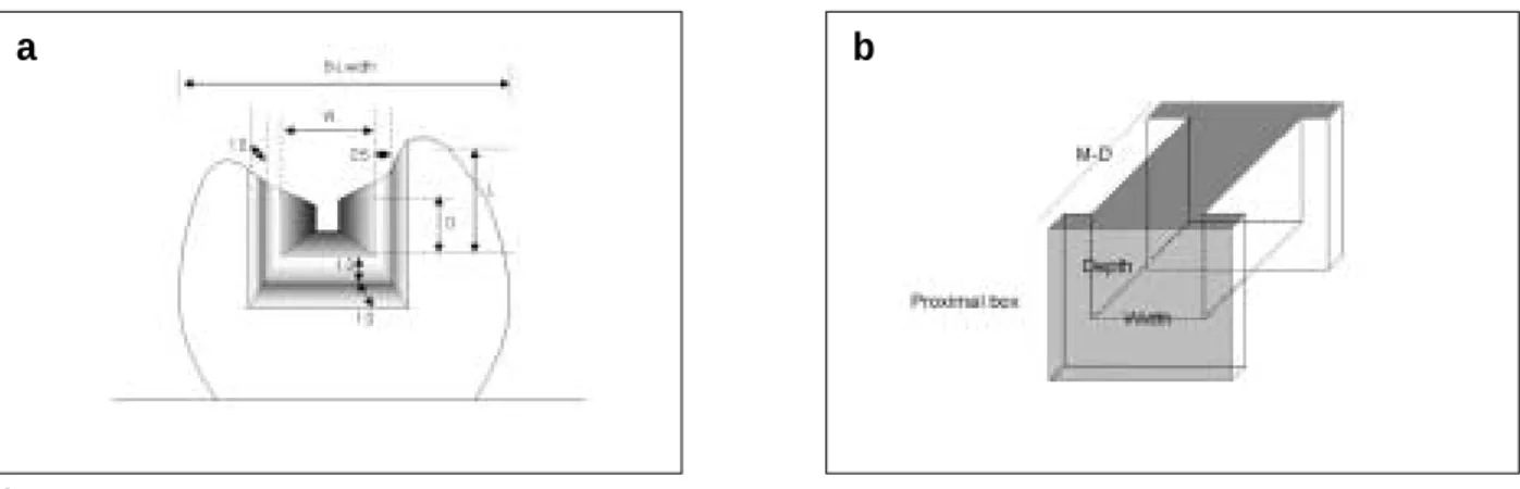 Figure 2-b와 같이 와동의 형태를 직사각형들로 이루어 진 입체도형으로 단순화 한 후 각 치아별로 근원심 길이와 형성된 와동의 폭과 깊이를 이용하여 unbonded surface와 bonded surface를 계산하여 C-factor 값을 구하였다