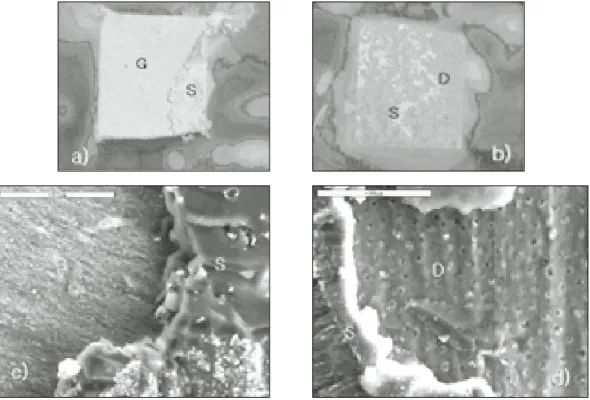 Fig. 9. Filure patterns of the specimens at the interface of the Group4. a,b: Stereomicroscope(1.25×25) c,d:SEM(×1000) S:sealer G:Gutta-percha D:dentin surface.