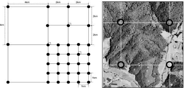 Fig. 1. Sampling and plot designs for the National Forest Inventory(KFRI, 2011).