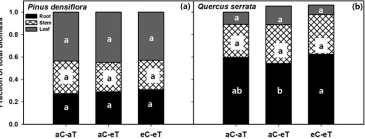 Fig. 4. Fraction of the total biomass shown for three tree components (Root, black; Stem, hatched; Leaf, grey)  in each treatments