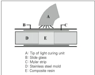 Fig. 1. Schematic drawing of constructed device used to prepare resin sample