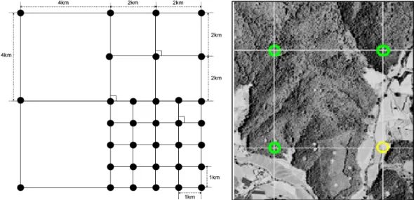 Fig. 2. Sampling and plot designs for the National Forest Inventory (KFRI, 2011). 