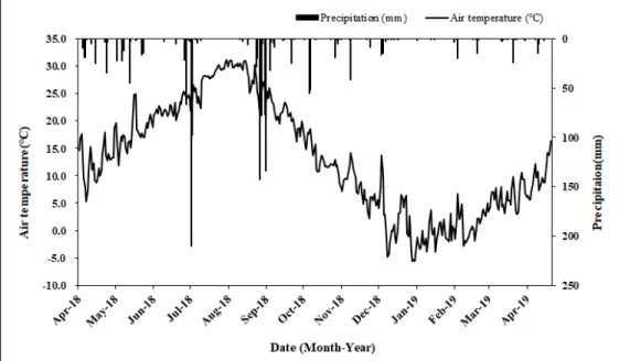 Fig. 1. Changes in daily air temperature and precipitation of study site in 2018 and 2019.