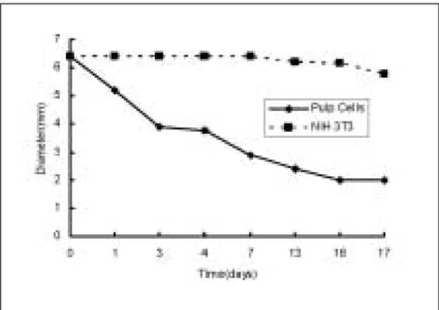 Fig. 1. Contraction  analysis  of  collagen  gel  matrix seeded with pulp cells and NIH 3T3 cells.