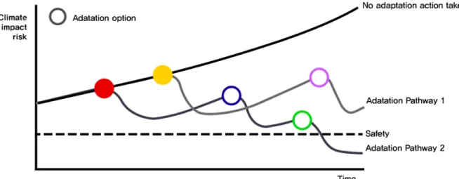 Fig. 2. Conceptual drawing of adaptation pathway.