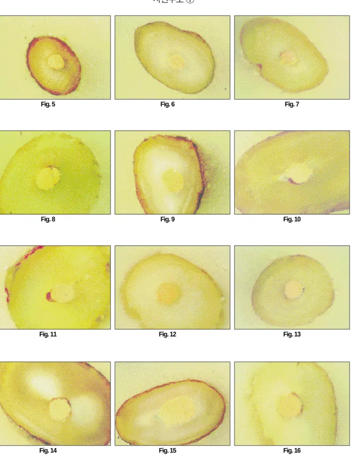 Fig. 5 Fig. 6 Fig. 7