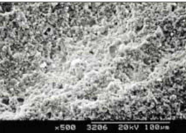 Fig. 11. The fractured surface of the ECO group(×500) Fig. 12. The fractured surface of the ECO group(×