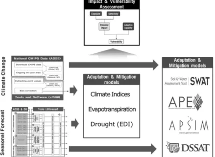 Fig. 5. Schematic procedure for downscaling and impact analysis using the climate information (climate change  scenario and seasonal forecast).
