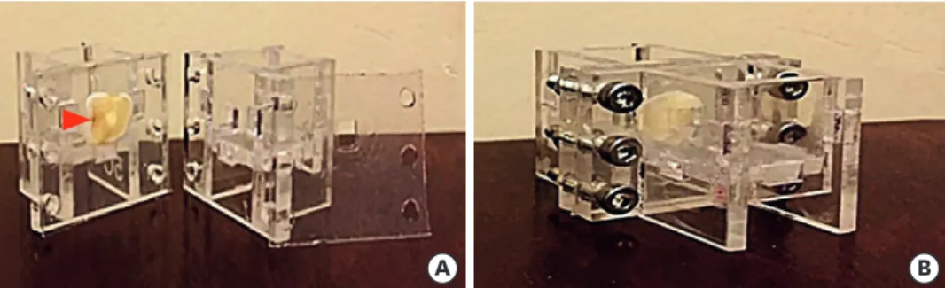 Figure 1. The setup for the experiment. (A) Separated view; (B) Assembled view. The setup had 1) 2 plexiglass  rectangular chambers for the placement of materials/cells and 2) a hole (red arrowhead) for placement of the 