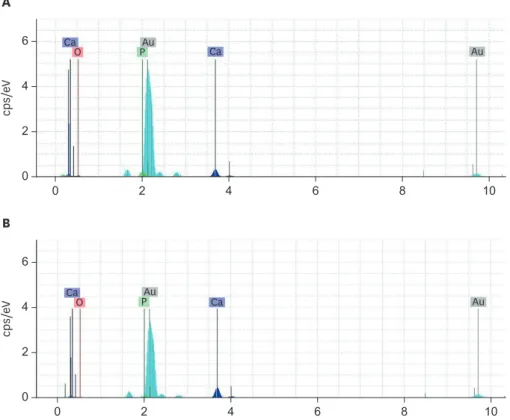 Figure 3. Energy-dispersive X-ray spectroscopy of the (A) Calcium-enriched mixture and (B) Mineral trioxide  aggregate groups with 0.1-mm-thick dentin
