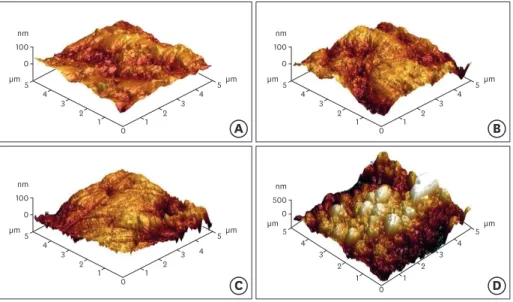 Figure 3. Atomic force microscopy images of yttria-stabilized tetragonal zirconia polycrystal (Y-TZP) surfaces  etched under different conditions