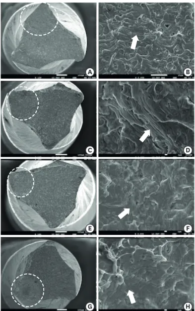 Figure 1. Scanning electron microscopic images of the WaveOne (WO) Primary files after cyclic fatigue testing