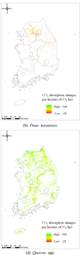 Fig  8.  Changes  in  CO 2   absorption  per  ha  for  each  species.