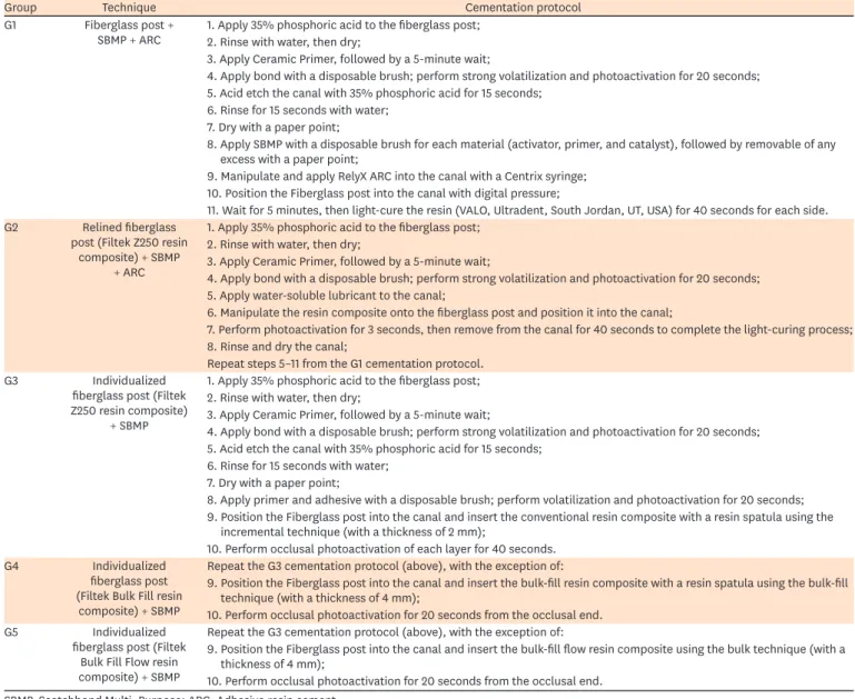 Table 2. Cementation protocol of each treatment group