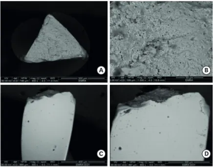 Figure 3. (A) A scanning electron micrograph of the fractured surface (cross-sectional view) of a representative  sample of the RaCe group after cyclic fatigue testing using low magnification (×400) shows the general features  of cyclic fatigue failure, su