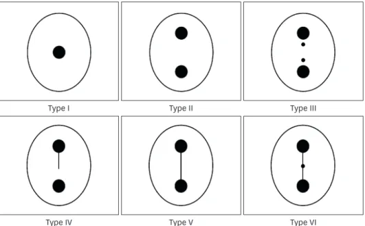 Figure 2. Classification of the root canal configurations at 3–5 mm from the apex, based on Tam and Yu [16].