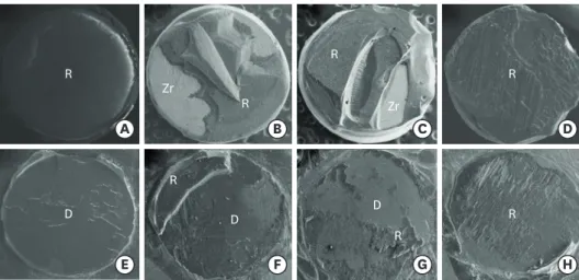 Figure 4. Scanning electron microscopy images (×30 magnification) of debonded yttria-stabilized tetragonal  zirconia polycrystal (Y-TZP) surface (A-D) and bovine dentin surface (E-H) after the shear bond strength (SBS)  test