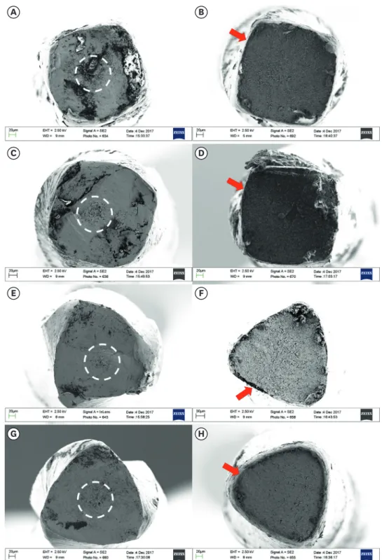 Figure 1. Scanning electron micrographs of the fracture surface of the separated fragments