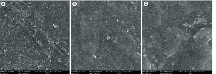 Figure 3. Scanning electron microscopy (SEM) micrograph of the Filtek Z250 resin composite at ×15,000 magnification