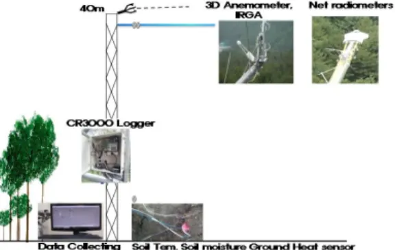 Fig.  3.  Energy  balance(R n =LE+H+G)  in  forest.