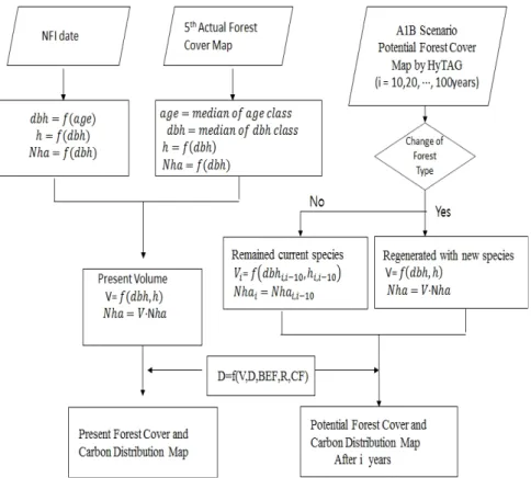 Fig.  2.  The  complete  study  process. 다.  넷째,  바이오매스 탄소배출계수를 이용해 탄소 저장량을  계산한다.  3.1  산림  재적량  측정 산림  전체  재적을  측정하기  위해서는  표준지 법,  전수법,  매목법,  재적표법  활용  등  다양한  방 법이 있으나,  본 연구에서는 국가산림자원조사 자 료와  임상도를  활용하여  재적을  산출하였다