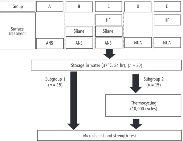 Figure 1. Experimental design of the study. HF, Hydrofluoric acid; ANS, adhesive that does not contain silane (Porcelain  Bonding Resin, Bisco); MUA, Multi-mode universal adhesive (Single Bond Universal, 3M EPSE).