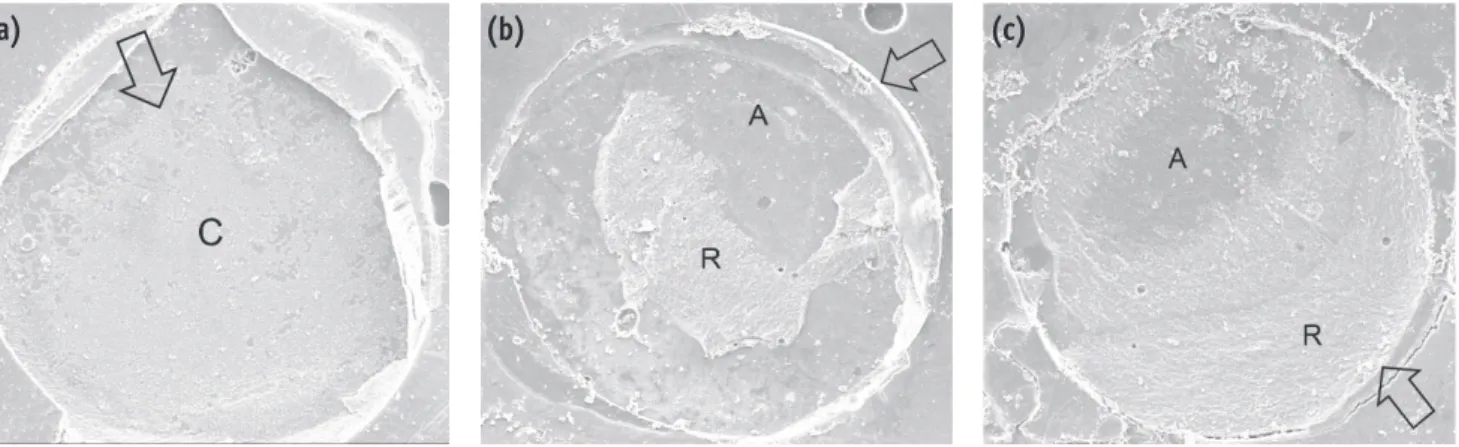 Figure 2. Failure mode distribution after microshear bond strength testing. TC, thermocycling.