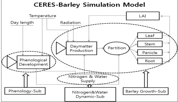 Fig.  1.  A  schematic  representation  of  the  model  CERES-Barley.