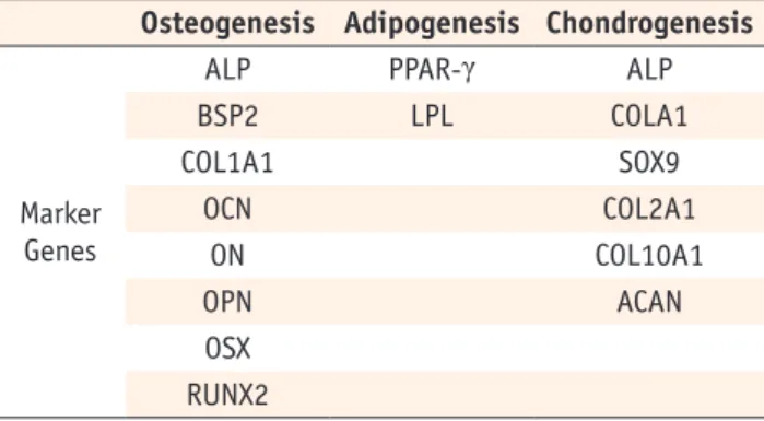 Table 1. Differentiation marker genes for identification of  Mesenchymal Stem Cells