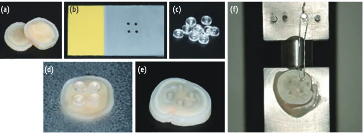 Figure 2 shows the results of the Tukey test for  interactions between dentin adhesives and composite  resins