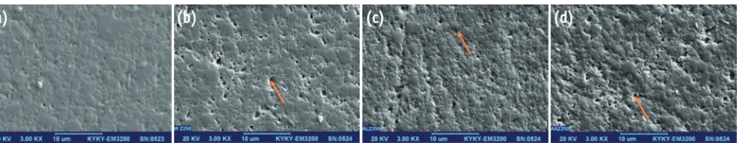 Figure 1. The SEM image of (a) Z250, before immersion; (b) Z250, after 7 days immersion in distilled water; (c) Z250,  after 7 days immersion in lactic; (d) Z250, after 7 days immersion in acetic acid (arrow, pitted area)