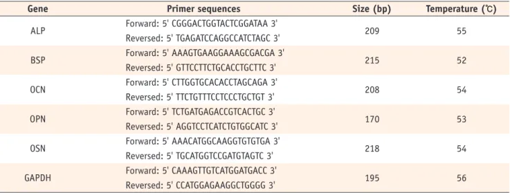 Table 1. Primer sequences for each mineralizing marker and GAPDH for RT-PCR analysis
