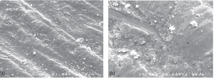 Figure 1. Scanning electron microscopic view of zirconia surface in the control group