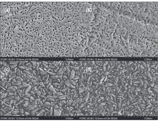 Figure 2. Field-emission scanning microscopy (FE-SEM) micrographs of fractured surfaces after biaxial flexural test  (x10,000)
