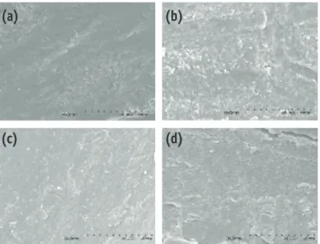 Figure 2. Representative photograph in the WL-9 mm  groups. (a) #25, WL-9 mm; (b) #30, WL-9 mm; (c) #35,  WL-9 mm; (d) #40, WL-9 mm