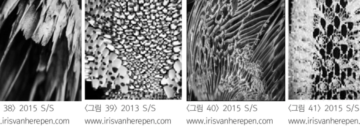 그림 < 38>  2015  S/S www.irisvanherepen.com 그림 < 39>  2013  S/S www.irisvanherepen.com 그림 < 40>  2015  S/S www.irisvanherepen.com 그림 < 41>  2015  S/S www.irisvanherepen.com 그림  은 무채색으로 꺼끌꺼끌한 가시로 뒤덮인 날개가 번져나가는 형태에 흰색과 검은색의 조<38>