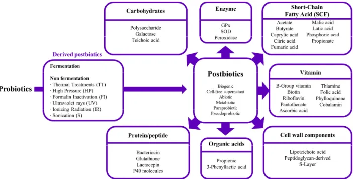 Fig. 1. Composition of postbiotics.