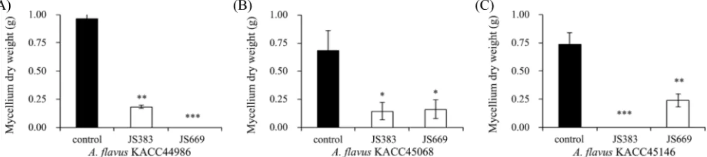 Fig. 1. Inhibition of growth of aflatoxigenic A. flavus KACC44986 (A), KACC45068 (B), and KACC45146 (C) by simultaneous inoculation of strains JS383  and JS669 in 15% YES medium (30°C, 7 days, 200 rpm)