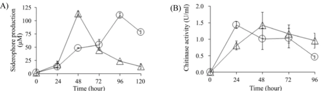 Fig. 5. Production of siderophore (A) and chitinase (B) by strains JS383 (△) and JS669 (○).
